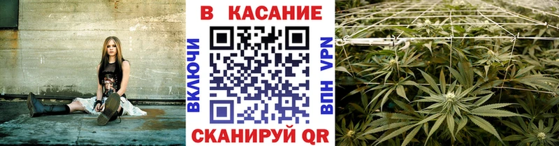 ГАШИШ Чухлома
