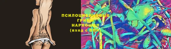 ешки Лабытнанги