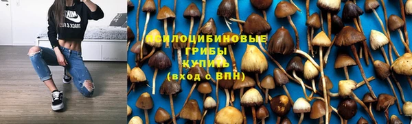 ешки Лабытнанги