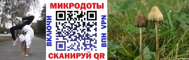 Галлюциногенные грибы Psilocybine cubensis  OMG как войти  Чухлома  где продают наркотики 