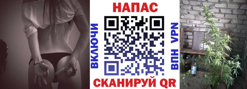 Каннабис индика  Чухлома 